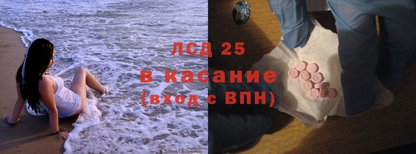 ПСИЛОЦИБИНОВЫЕ ГРИБЫ Алзамай