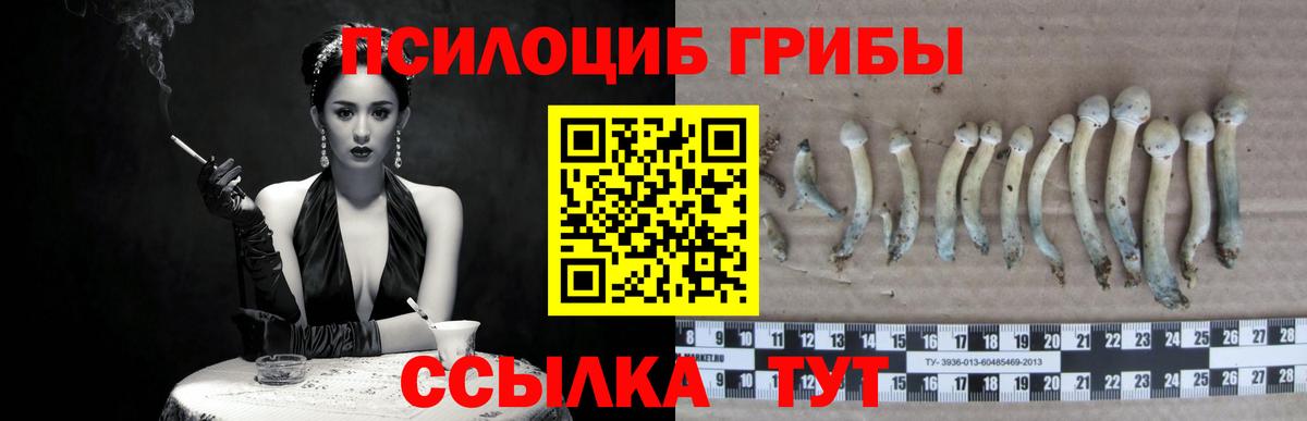 ГАШИШ  Кодеин  МЕФ   Саров  Вход с VPN  МАРИХУАНА  ЭКСТАЗИ  ГАШ 
