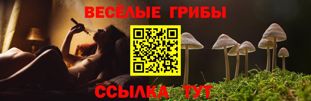 Саров  Галлюциногенные грибы ЛСД  Вход с VPN 